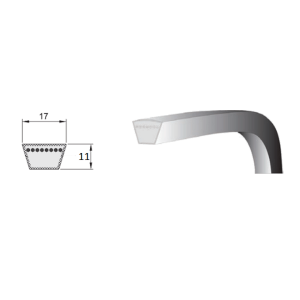 Cinghia trapezoidale B