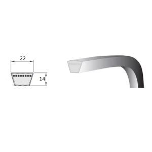 Cinghia trapezoidale C