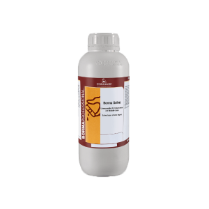 Rigenerante stucco indurito